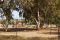 Area (8)